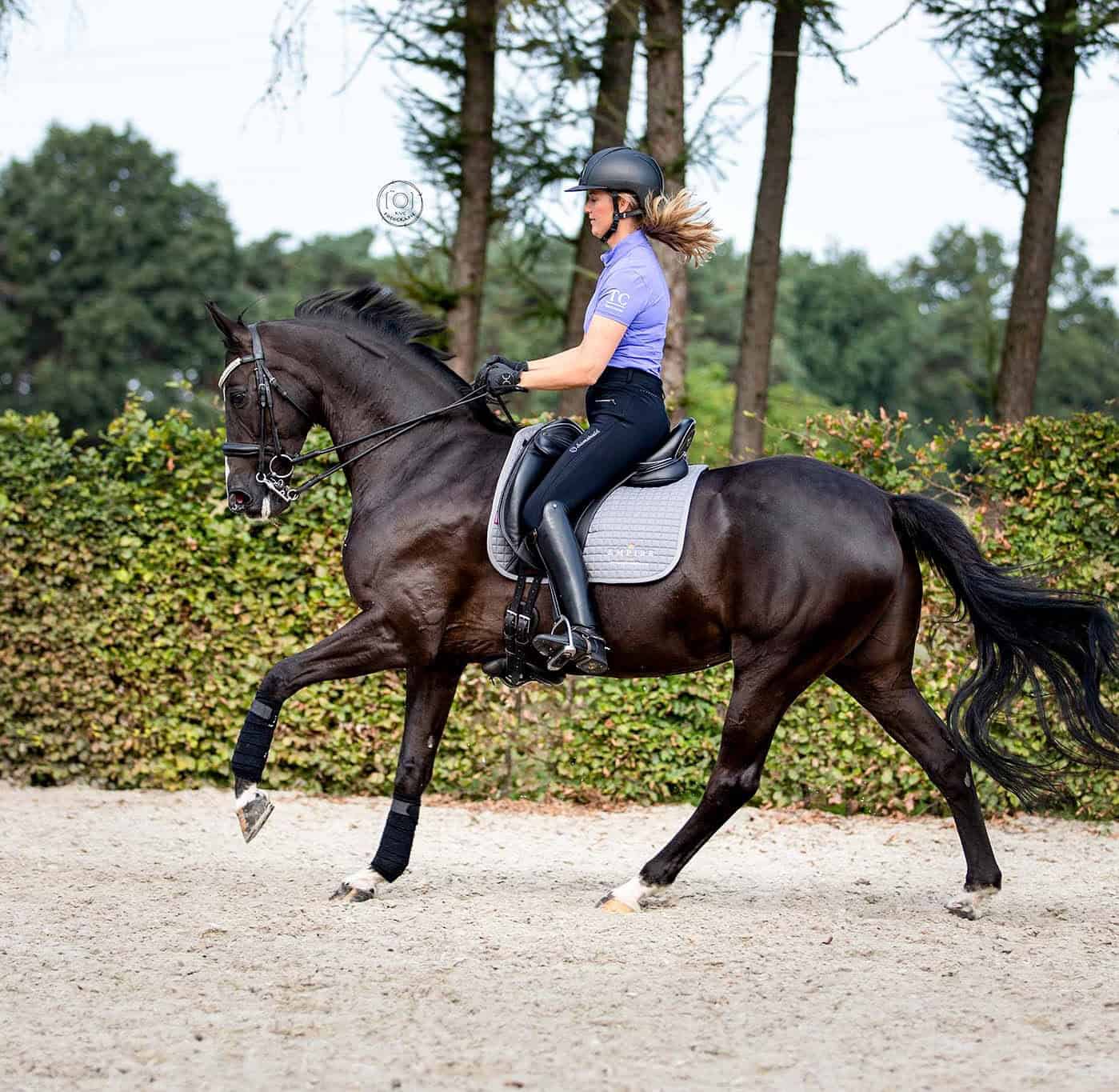Delphine Meiresonne - Grandprix dressuur amazone