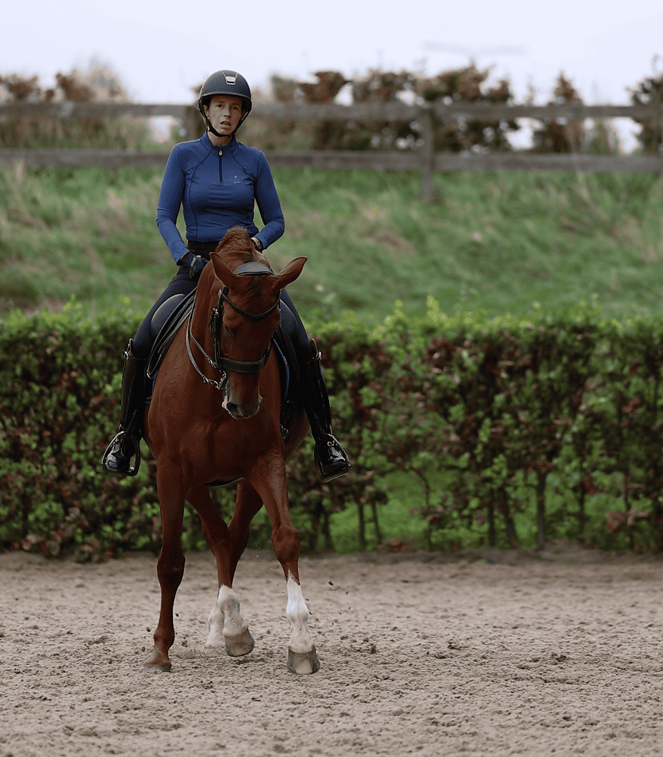 Scherm­afbeelding 2024-05-22 om 09.43.19