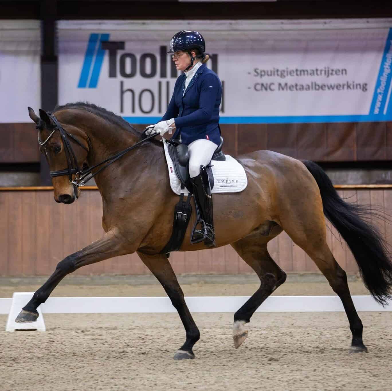 Paulien Alberts - Grandprix dressuur amazone